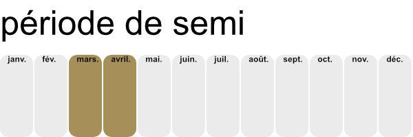 Période de semis de la courge butternut.