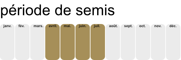 Période de semi des betteraves.