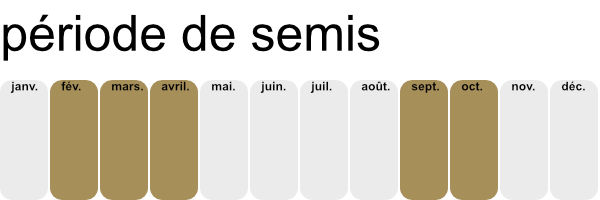 Périodes de semis des épinards.